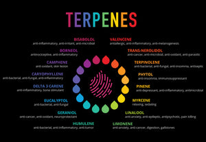 A Variety of Terpenes consisting of hundreds of flavors created by Taste Budds, Terp Science Labs (TS Labs), Floraplex, and Extract Consultants