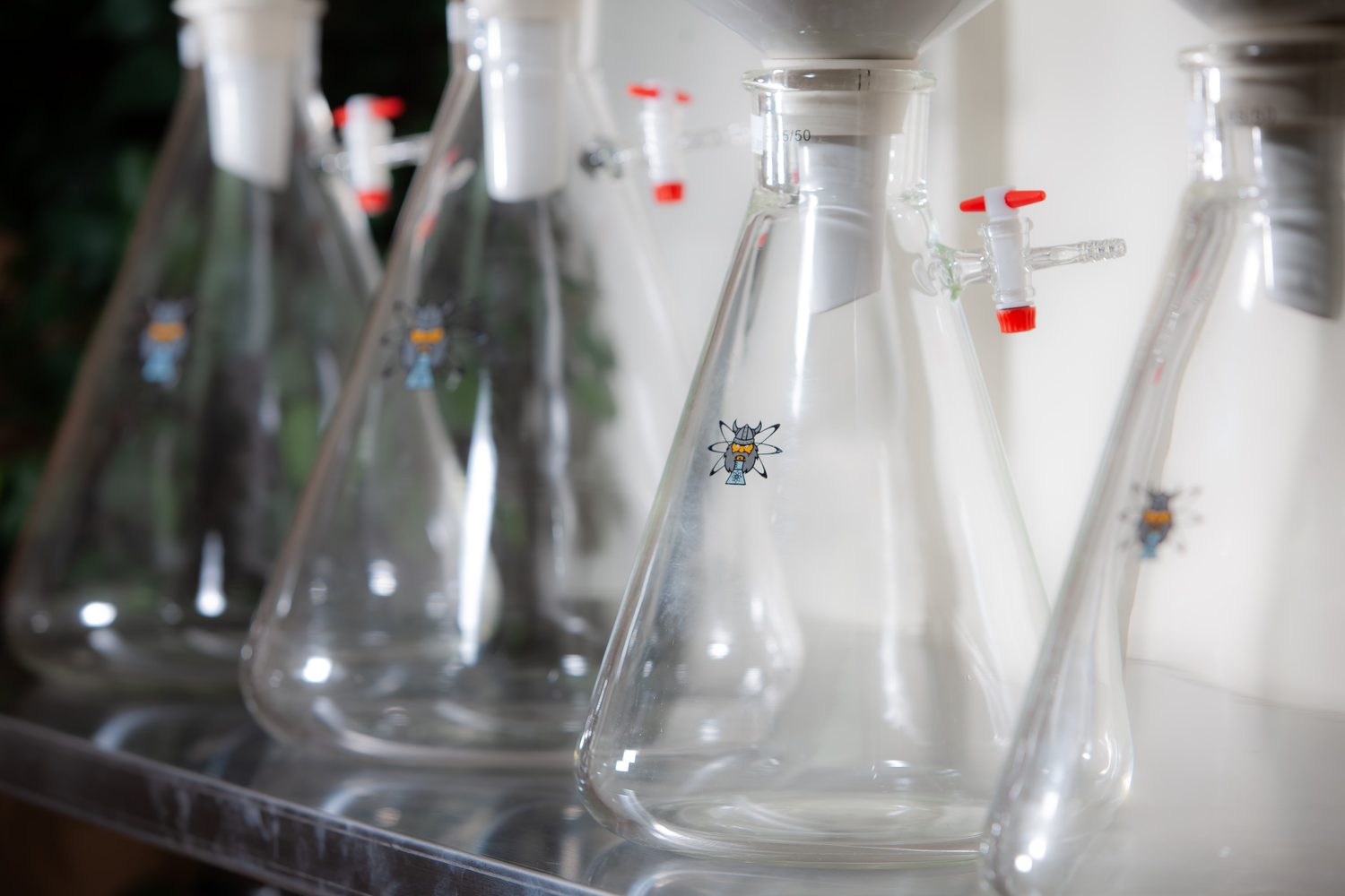 Erlenmeyer Flasks