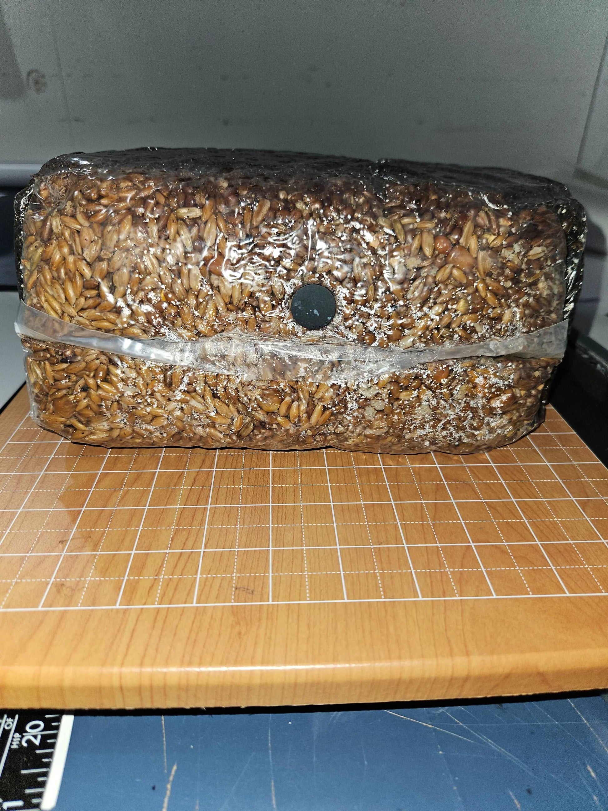 5lb All in One Mycology Grow Bag for Dung Loving Mushrooms R&R Cultivation