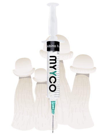 MYYCO Albino Penis Envy Mushroom - Isolated Liquid Culture (10 cc)