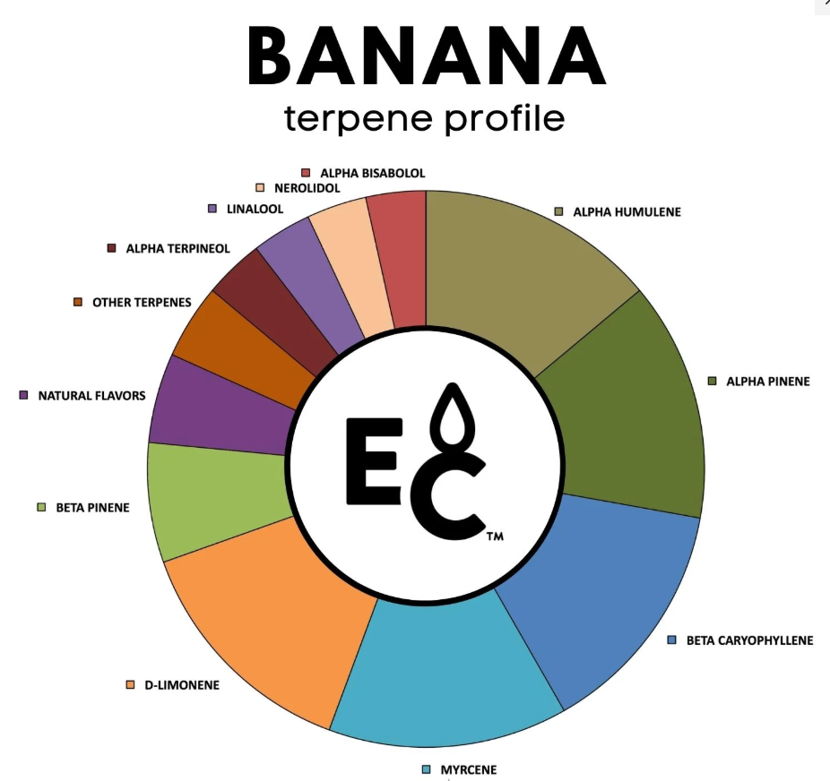 Banana - Essential Terpenes