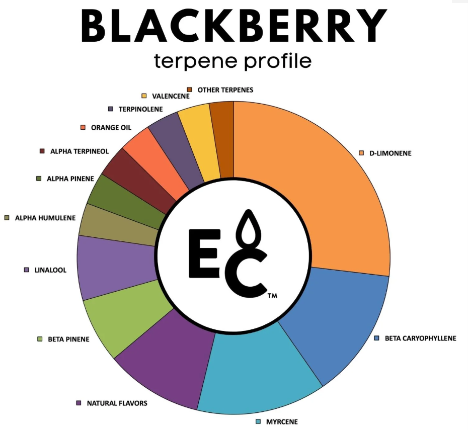 Blackberry - Essential Terpenes