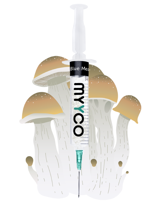 MYYCO Blue Meanies Mushroom - Isolated Liquid Culture (10 cc)