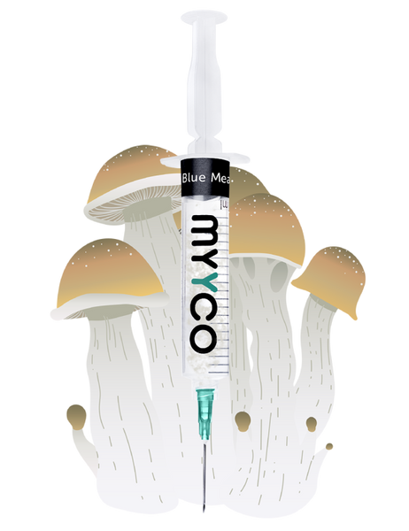 MYYCO Blue Meanies Mushroom - Isolated Liquid Culture (10 cc)