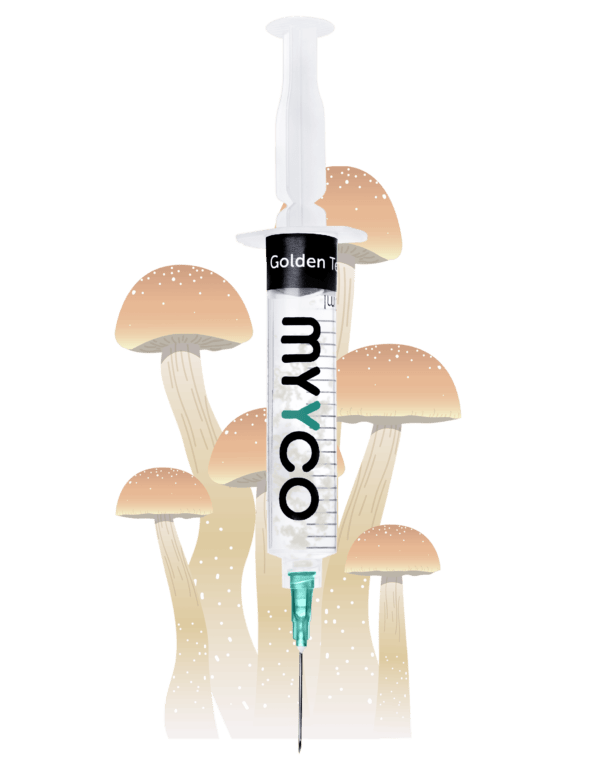 MYYCO Golden Teacher Mushroom - Isolated Liquid Culture (10 cc)