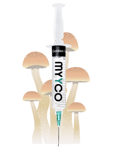 MYYCO Golden Teacher Mushroom - Isolated Liquid Culture (10 cc)