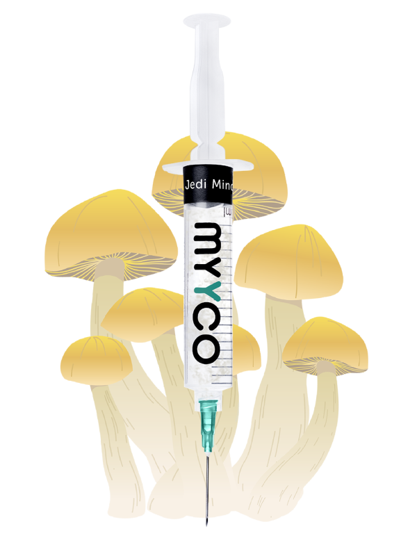 MYYCO Jedi Mind F*@k Mushroom - Isolated Liquid Culture (10 cc)