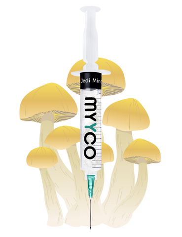 MYYCO Jedi Mind F*@k Mushroom - Isolated Liquid Culture (10 cc)