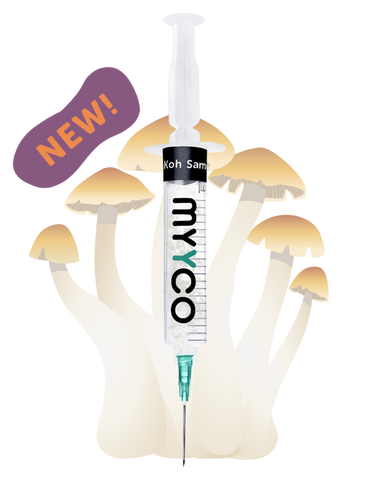 MYYCO Koh Samui Super Strain Mushroom - Isolated Liquid Culture (10 cc)