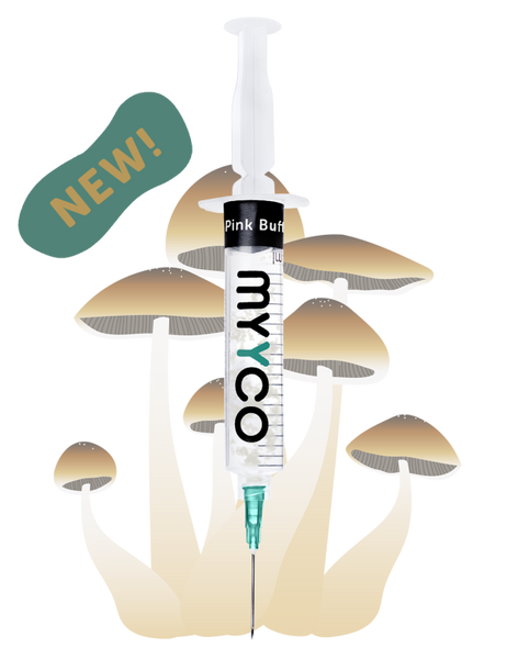 MYYCO Pink Buffalo Mushroom - Isolated Liquid Culture (10 cc)