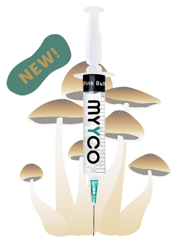MYYCO Pink Buffalo Mushroom - Isolated Liquid Culture (10 cc)