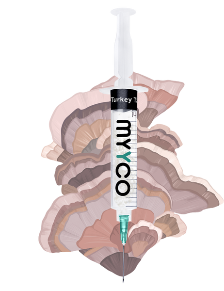 MYYCO Turkey Tail Mushroom - Isolated Liquid Culture (10 cc) - Medicinal