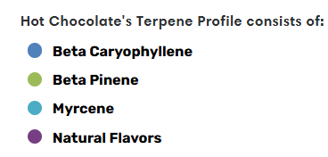 Hot Chocolate - Essential Terpenes